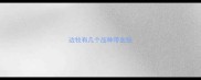 边牧有几个品种带血统