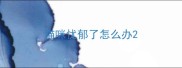 猫咪忧郁了怎么办