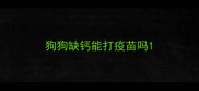 狗狗缺钙能打疫苗吗