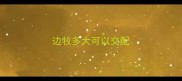 边牧多大可以交配
