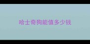 哈士奇狗能值多少钱