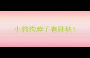 小狗狗脖子有肿块