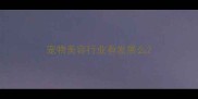 宠物美容行业有发展么
