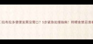 拉布拉多便便发黑没胃口5步紧急处理指南附喂食禁忌清单