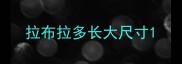 拉布拉多长大尺寸