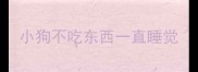 小狗不吃东西一直睡觉