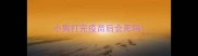 小狗打完疫苗后会死吗