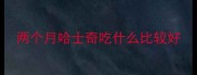 两个月哈士奇吃什么比较好