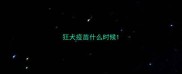 狂犬疫苗什么时候