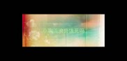 小狗流浪会饿死吗