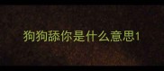 狗狗舔你是什么意思