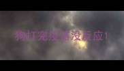 狗打完疫苗没反应