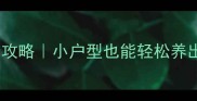 室内养拉布拉多全攻略小户型也能轻松养出健康活泼的毛孩