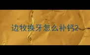 边牧换牙怎么补钙