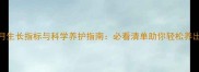 秋田犬5个月生长指标与科学养护指南必看清单助你轻松养出健康壮犬