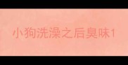 小狗洗澡之后臭味