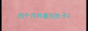 四个月柯基拉肚子
