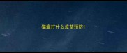 猫瘟打什么疫苗预防