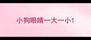小狗眼睛一大一小
