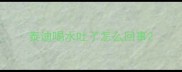 泰迪喝水吐了怎么回事