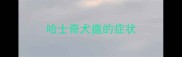 哈士奇犬瘟的症状