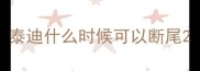 泰迪什么时候可以断尾