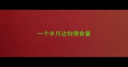 一个半月边牧喂食量