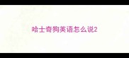 哈士奇狗英语怎么说
