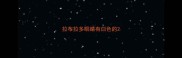 拉布拉多眼睛有白色的