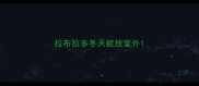 拉布拉多冬天能放室外