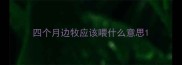 四个月边牧应该喂什么意思