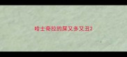 哈士奇拉的屎又多又丑