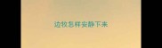 边牧怎样安静下来