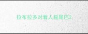 拉布拉多对着人摇尾巴