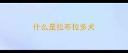 什么是拉布拉多犬