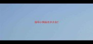 给母小狗起名字大全