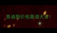 泰迪狗价格靠谱犬舍