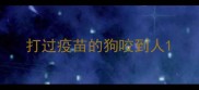 打过疫苗的狗咬到人