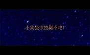 小狗受凉拉稀不吃