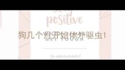 狗几个月开始体外驱虫
