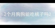 2个月狗狗能吃桃子吗
