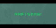 狗狗鼻子龟裂结痂