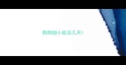 狗狗细小能活几天