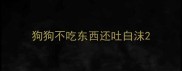 狗狗不吃东西还吐白沫