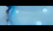 小狗拉屎特别难闻