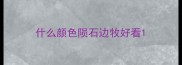 什么颜色陨石边牧好看