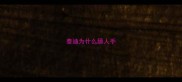 泰迪为什么舔人手