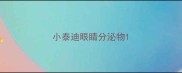 小泰迪眼睛分泌物