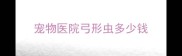 宠物医院弓形虫多少钱