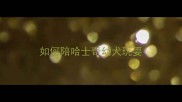 如何陪哈士奇幼犬玩耍